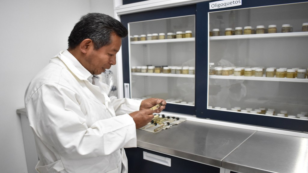 Investigador de la BUAP estudia lombriz de tierra para conservación del&nbsp;suelo