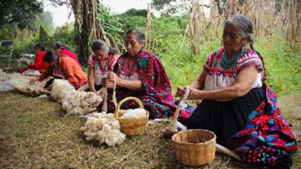 Cine de Realizadoras indignas