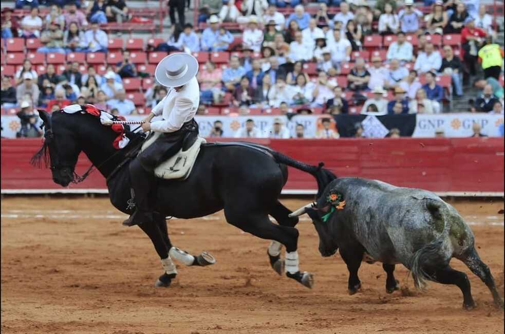 Corridas de Toros sin violencia: toreros y empresarios inconformes