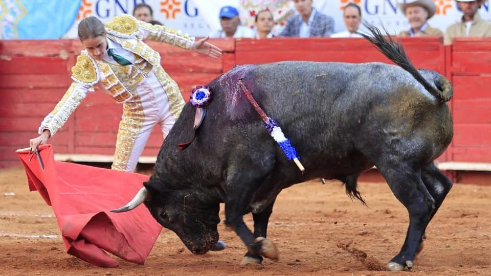 Corridas de toros sin violencia cerca de volverse realidad en CDMX