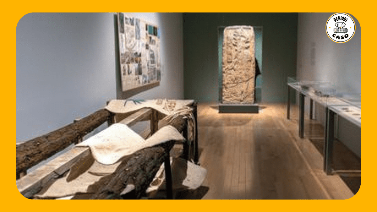 El último río vivo de México inspira exposición en el Museo Amparo