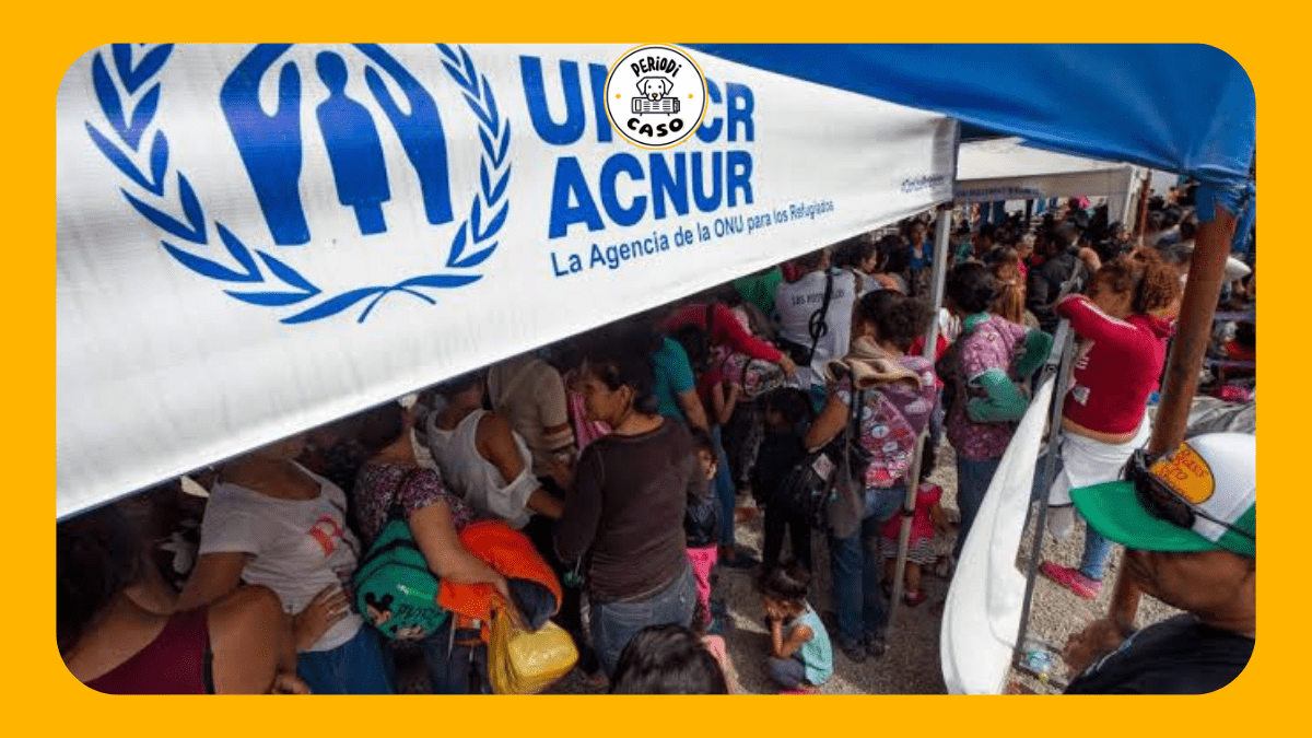 Mujeres y familias, ahora mayoría en la migración que cruza México: Acnur