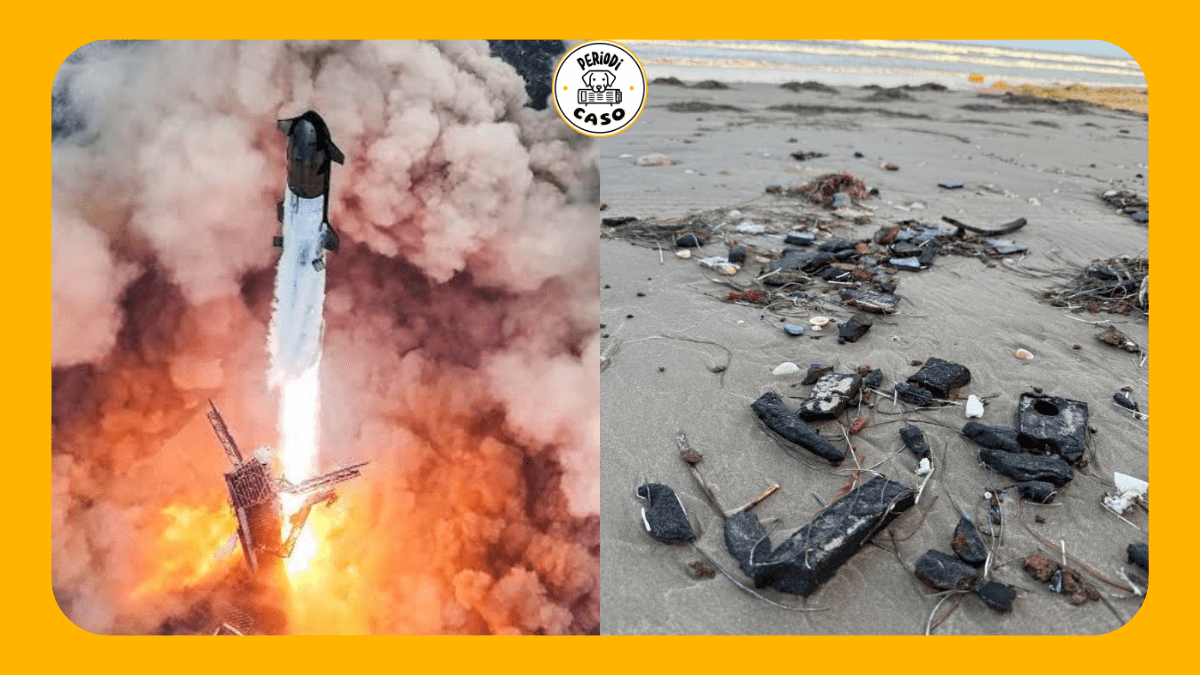 Restos de cohete Starship contaminan litoral mexicano; tortugas en riesgo