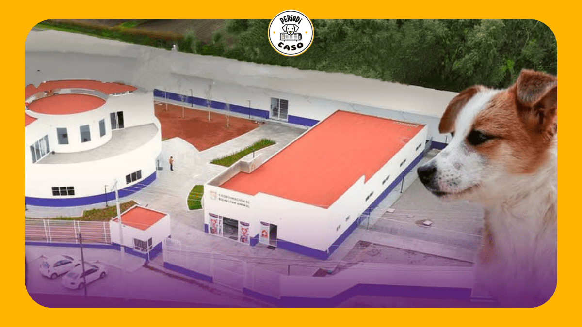 Clínica del Bienestar Animal y un perro