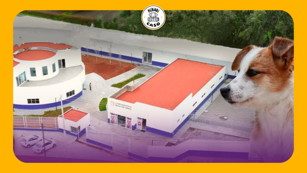 Tlaxcala abre su primera Clínica de Bienestar&nbsp;Animal