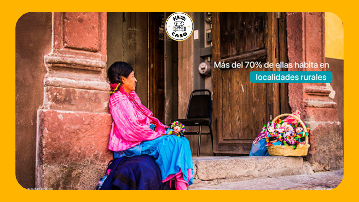 Kachi, la app que revive lenguas indígenas con tecnología y cultura