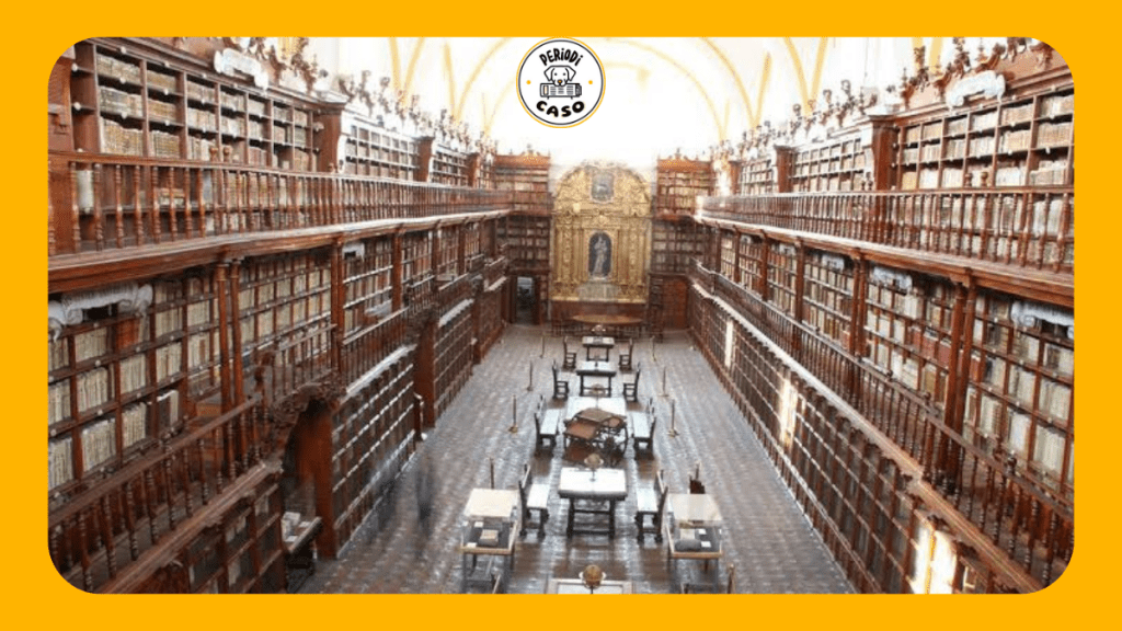 La Palafoxiana estrena sala permanente para redescubrir su historia y&nbsp;tesoros