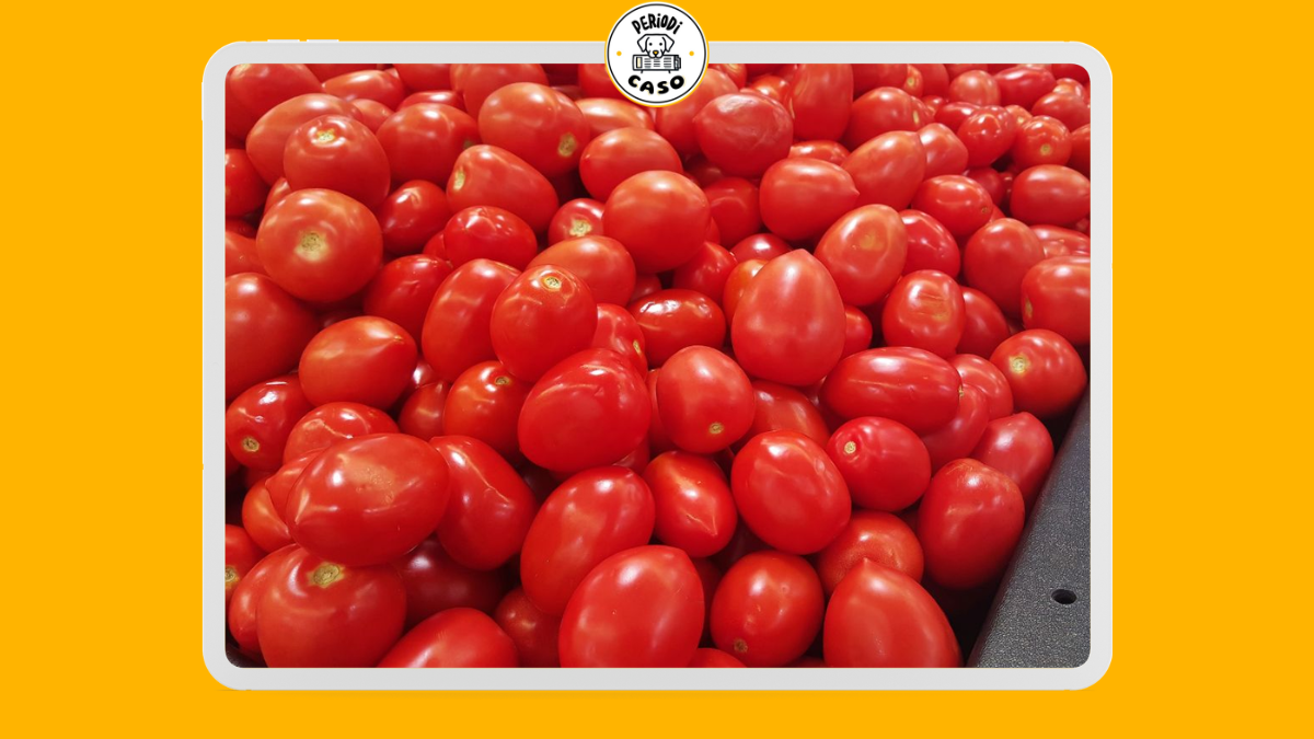 Arancel del 17% a jitomate mexicano