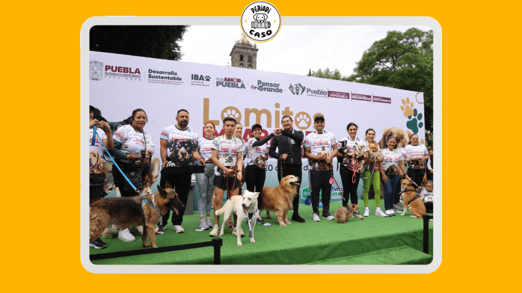 Carrera en Puebla une a familias y lomitos en defensa del bienestar animal