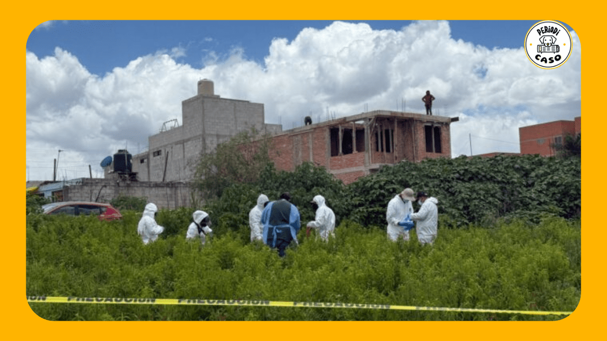 Puebla realiza primera exhumación de un perro por caso de crueldad animal