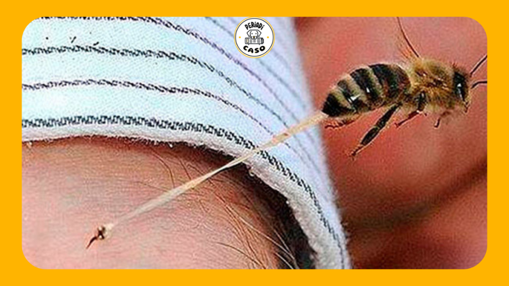 Abejas causan entre 80 y 90 muertes al año en México, alerta la UNAM