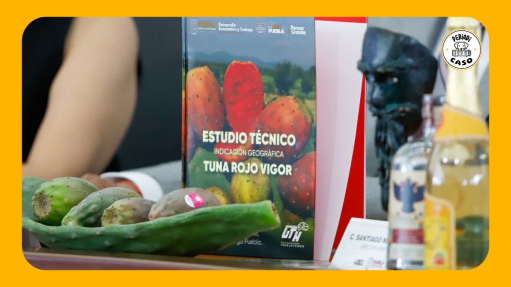 Buscan reconocimiento nacional e internacional para la tuna de&nbsp;Puebla