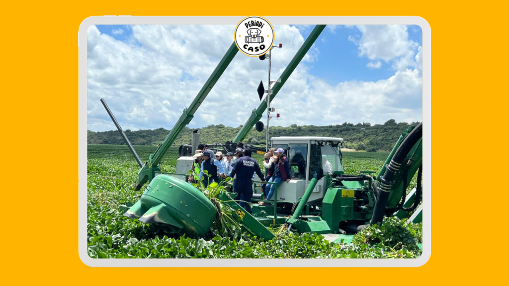 Puebla usará tecnología especializada para eliminar lirio acuático