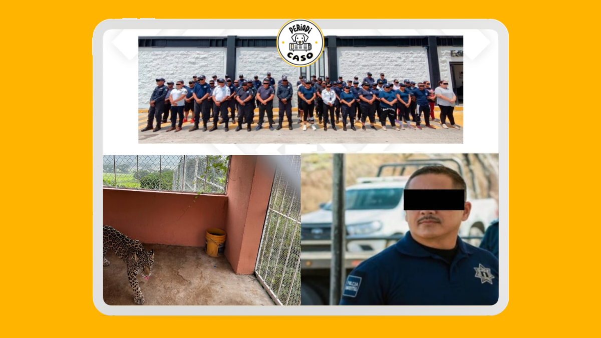 59 agentes de Cintalapa vinculados