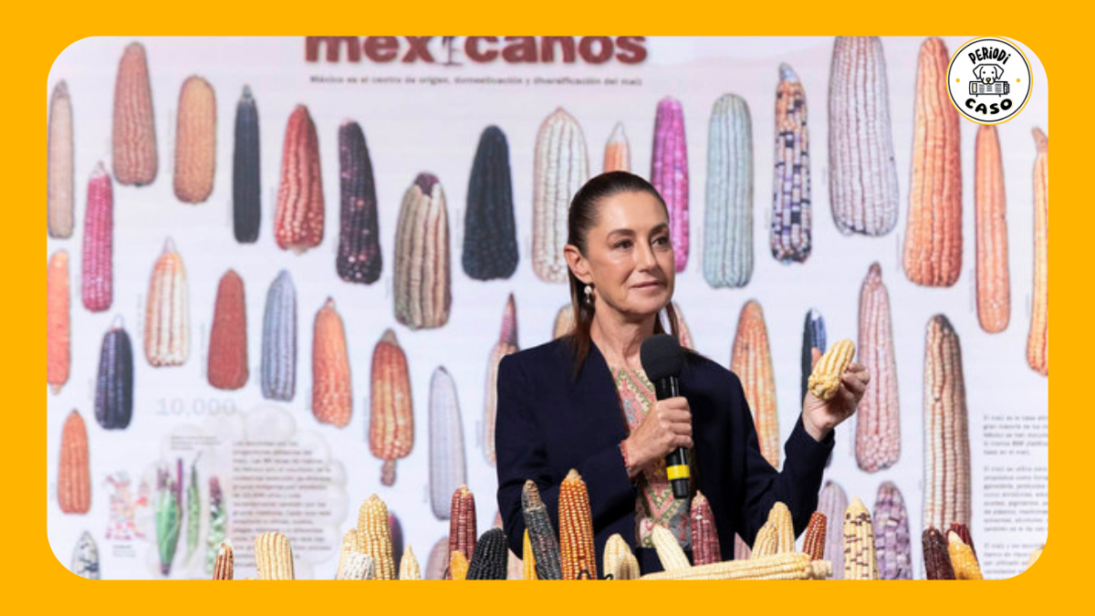 Con precios de garantía, nace programa “Sin maíz no hay país” en México