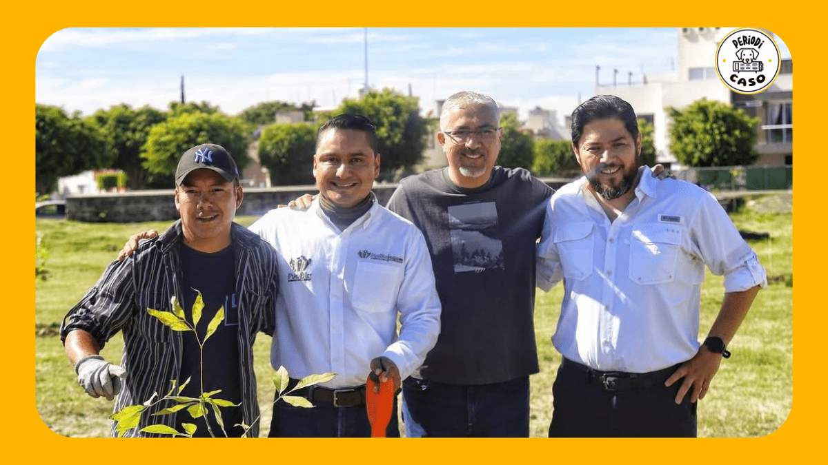 Gobierno de la Ciudad planta 590 árboles en jornadas de reforestación