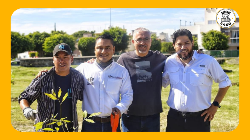 Gobierno de la Ciudad planta 590 árboles en jornadas de&nbsp;reforestación