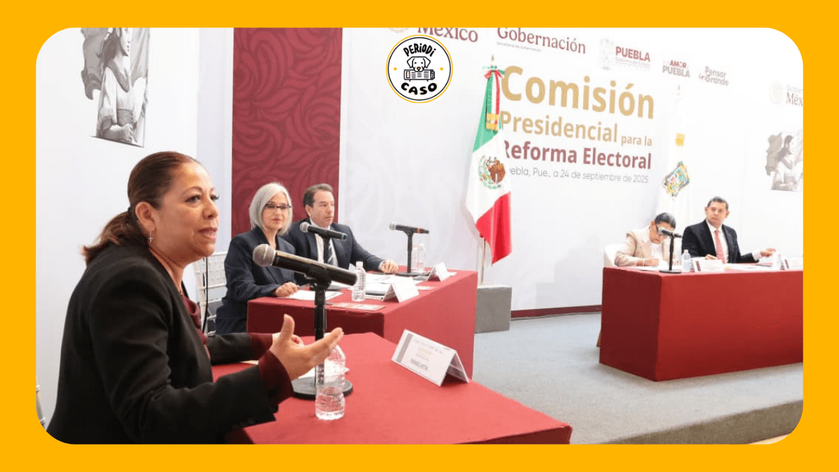 Laura Artemisa propone reducir a la mitad diputados plurinominales a nivel federal y local