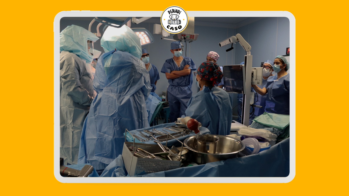 ISSSTEP realiza su primera cirugía de rodilla asistida con inteligencia artificial