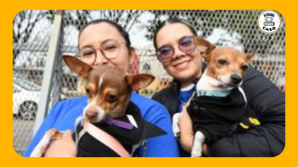 Terapias asistidas con perros cumplen 3 años en la&nbsp;BUAP