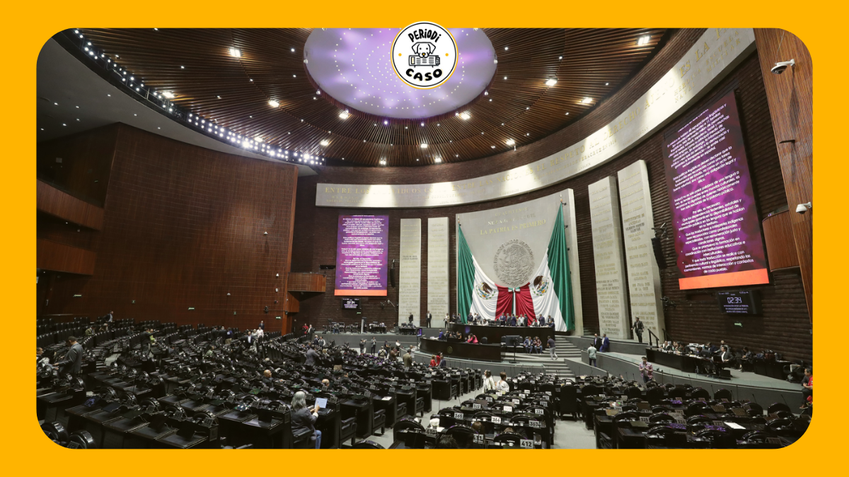 Cámara de diputados