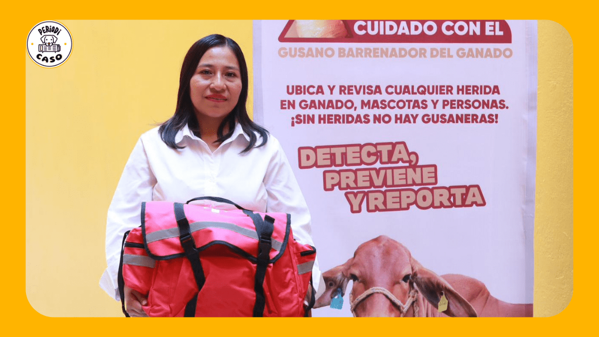 Gobierno de Puebla impulsa taller para prevenir plaga de gusano barrenador