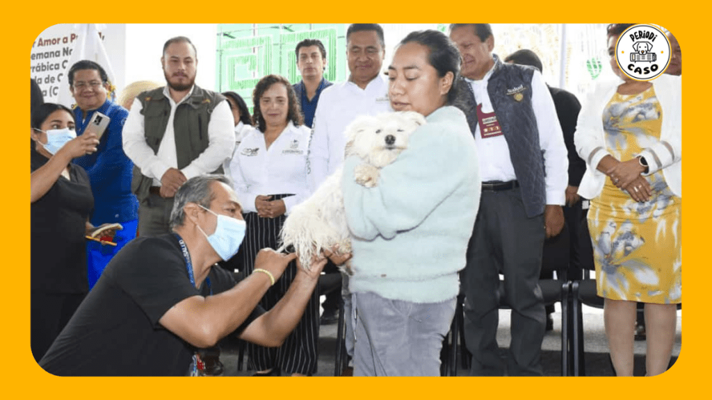 Impulsan vacunación antirrábica y castración masiva de mascotas en Puebla