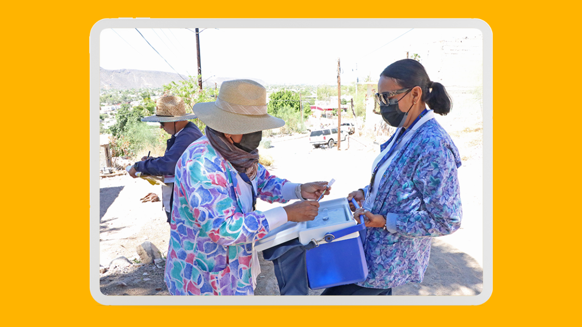 Brigadas de vacunación