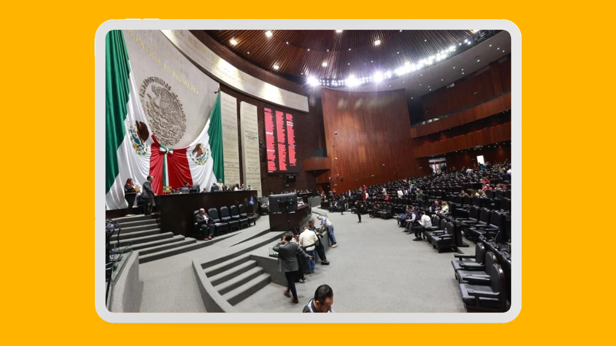 Cámara de diputados