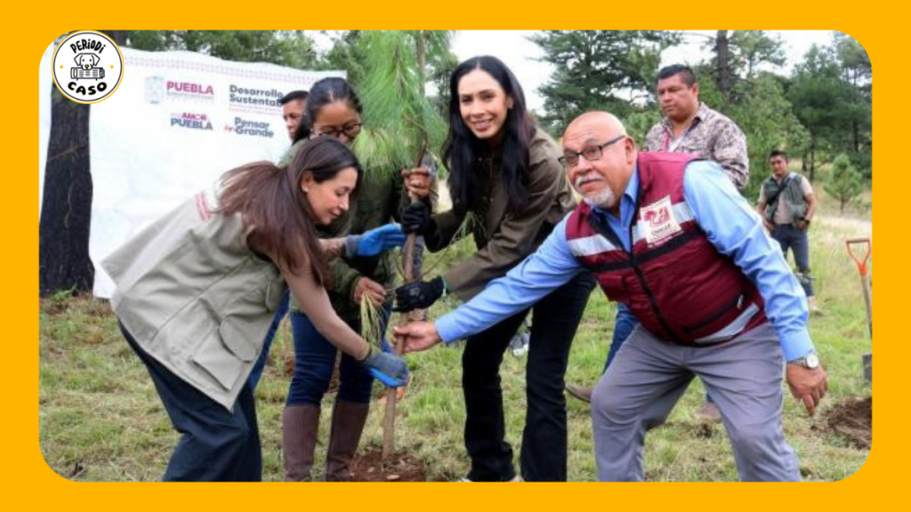 Reforestan Cerro Zapotecas con dos mil plantas y liberan halcones&nbsp;rehabilitados