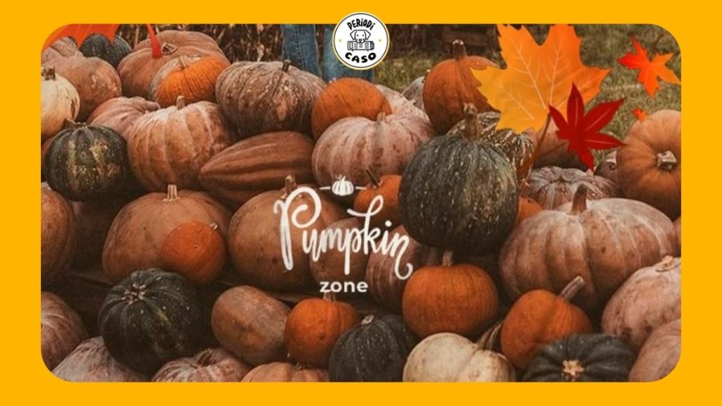 Todo lo que debes saber sobre Pumpkin Zone 2025 en&nbsp;Puebla