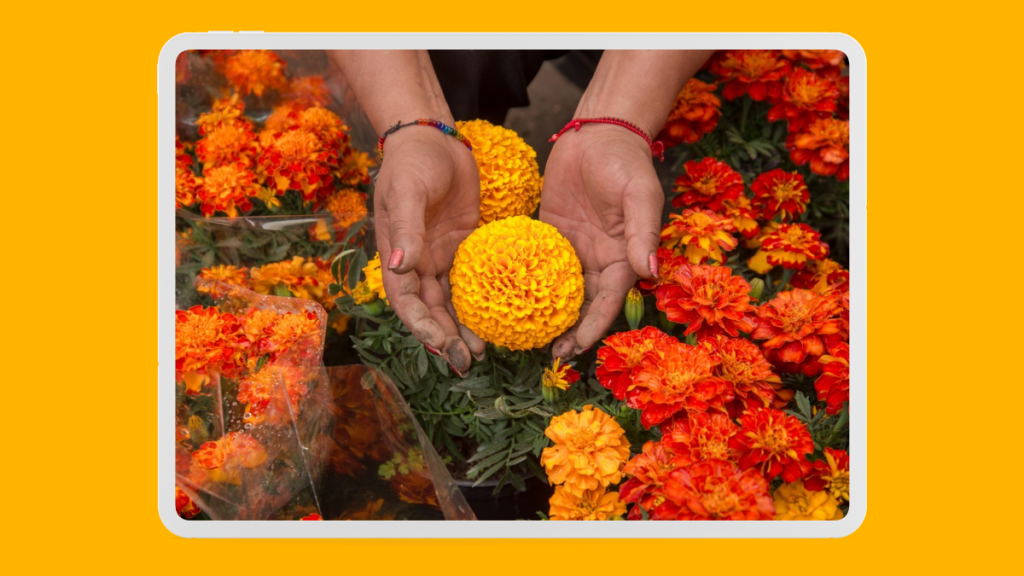 Gobierno de Puebla reciclará flores del Día de Muertos para crear composta