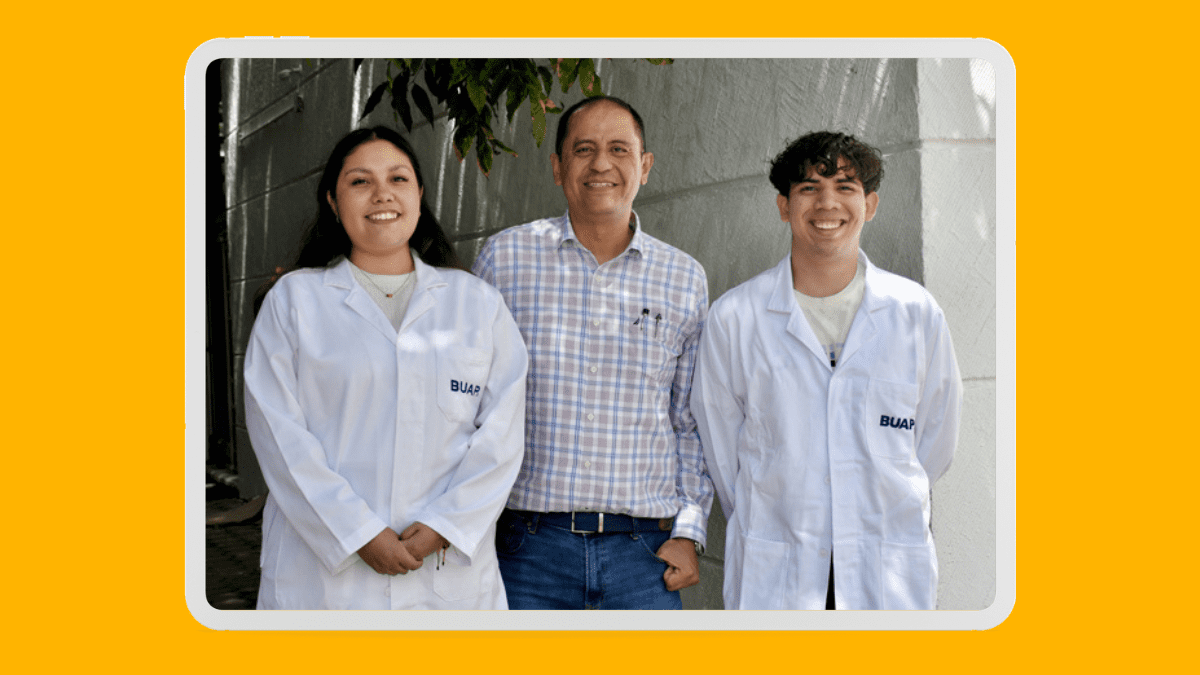 Orégano, la alternativa natural de la BUAP contra hongos dañinos del maíz