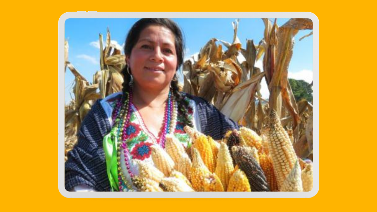 Puebla lanza concurso fotográfico para mostrar su riqueza natural y cultural