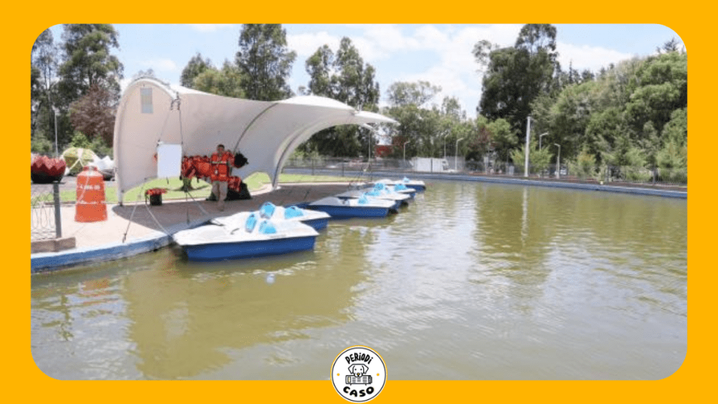 Puebla tendrá su propio Chapultepec: así crecerá y se transformará Flor del Bosque