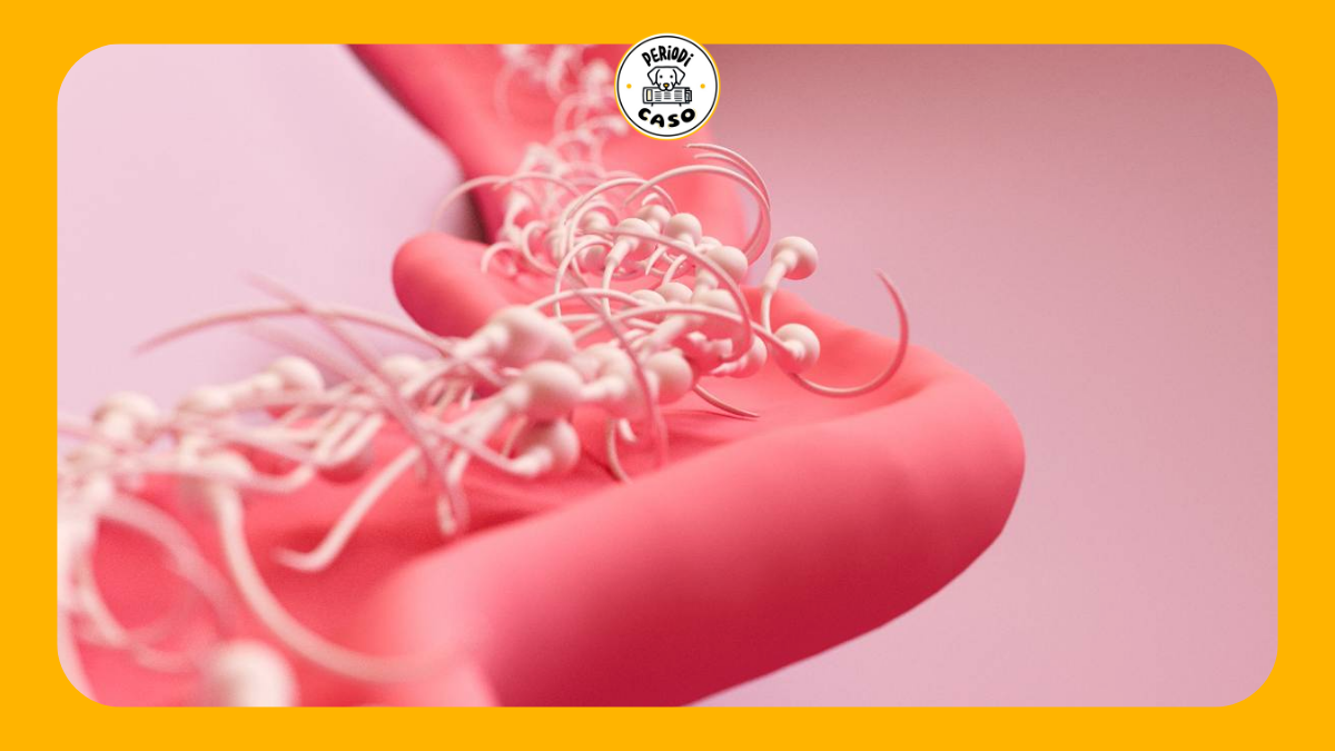 Tratamientos de fertilidad con IA