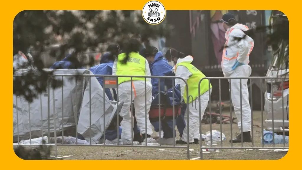 Padre e hijo matan al menos 15 personas en una playa de Sídney durante celebración de Janucá