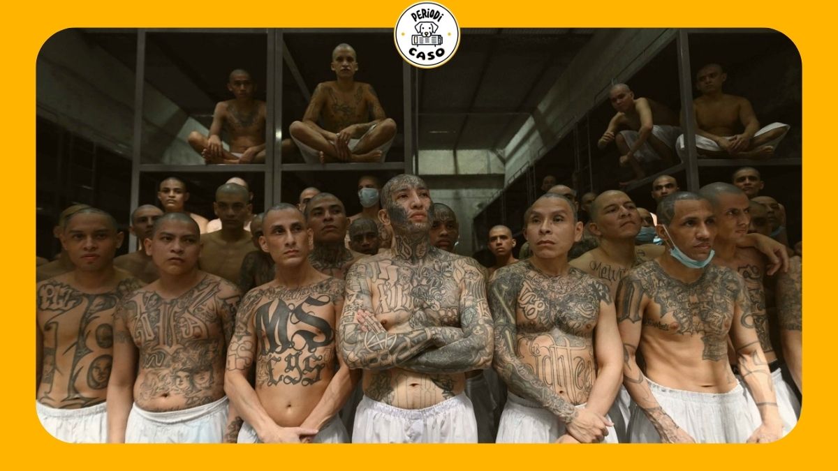 El Salvador sentencia a 248 pandilleros de la MS-13 con penas de hasta 1,335 años