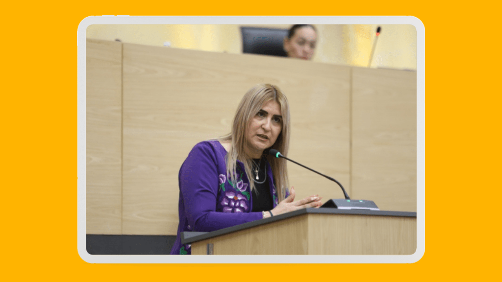 Idamis Pastor informa caída de feminicidios ante el Congreso