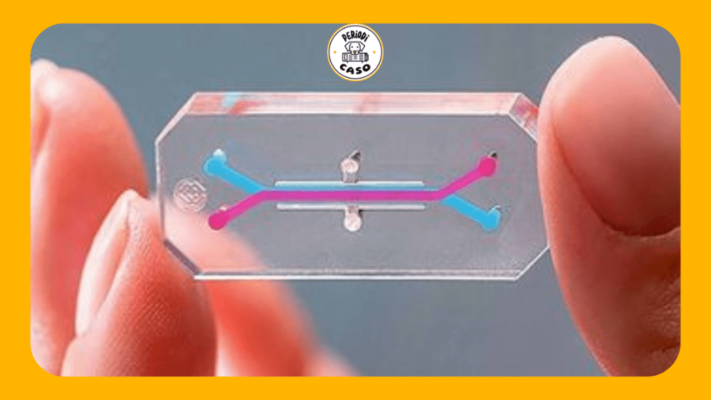 La UNAM crea el primer “hígado en un chip” de América Latina