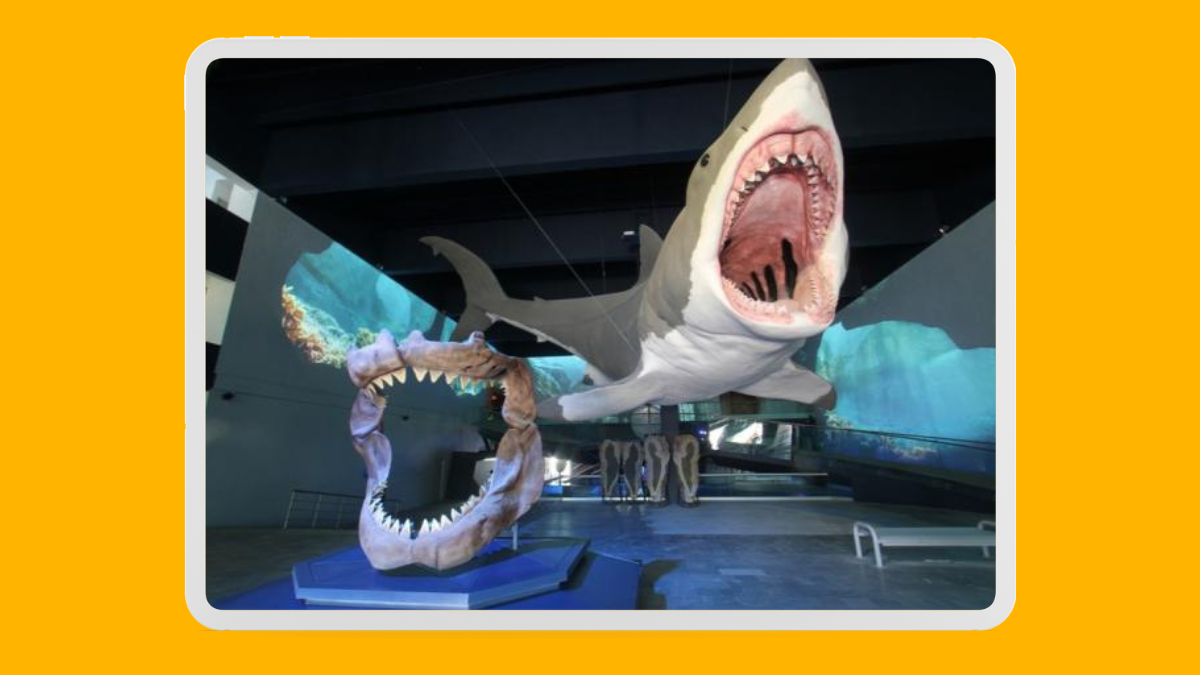 Museo de la Evolución Puebla celebra 10 años de divulgación científica