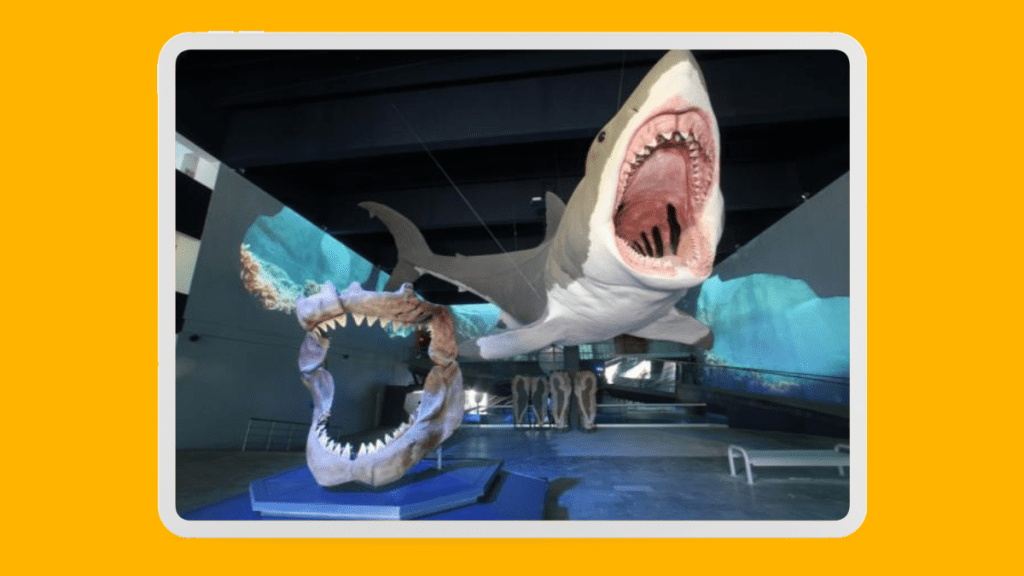 Museo de la Evolución Puebla celebra 10 años de divulgación científica