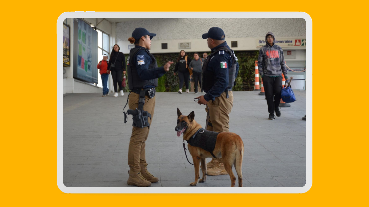 Unidad Canina K9 refuerza operativos y decomisos en Puebla capital