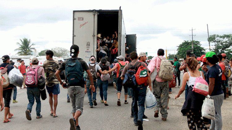 Hallan a 229 migrantes dentro de tráiler en Veracruz