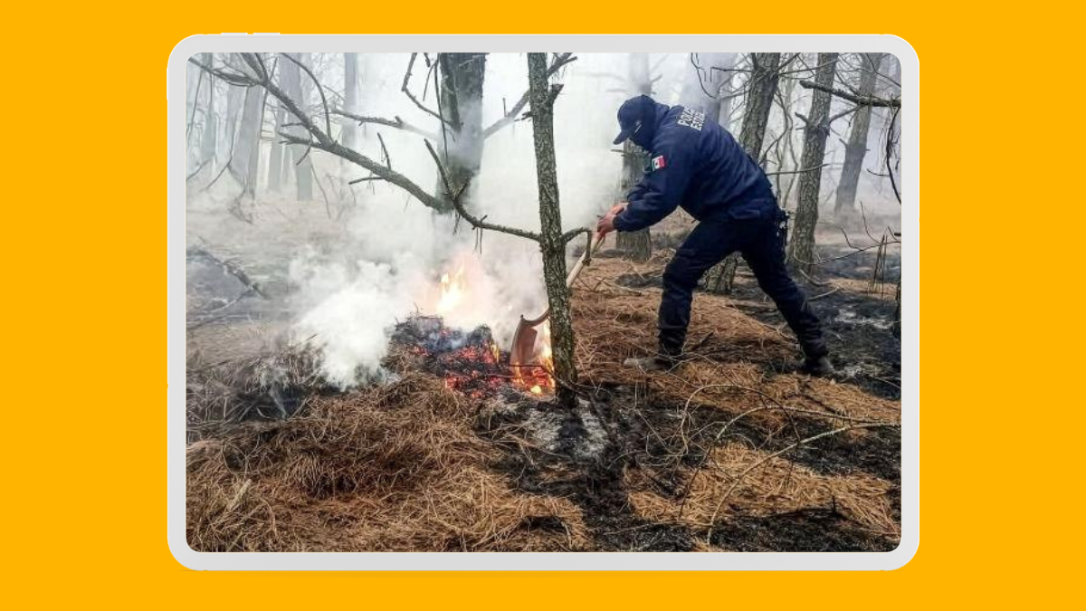 Bomberos sofocan tres incendios de pastizal en el municipio de Puebla