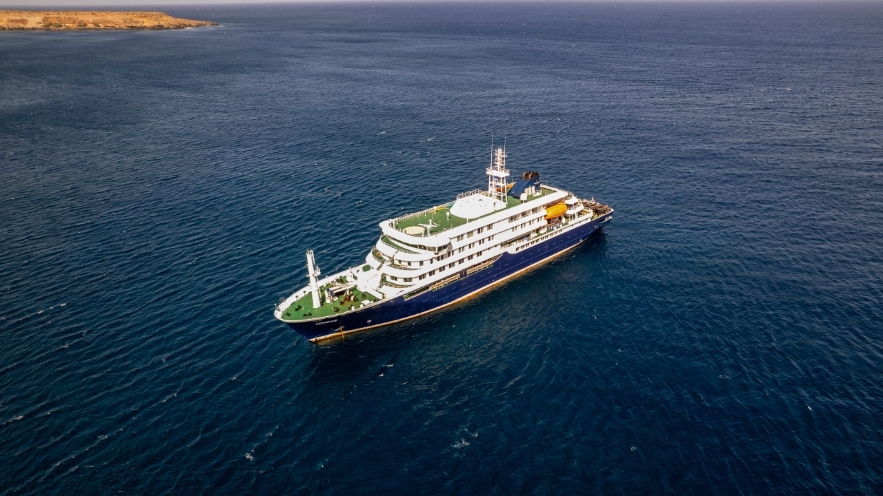 Alerta sanitaria en el Atlántico: Brote de Hantavirus sacude crucero de lujo