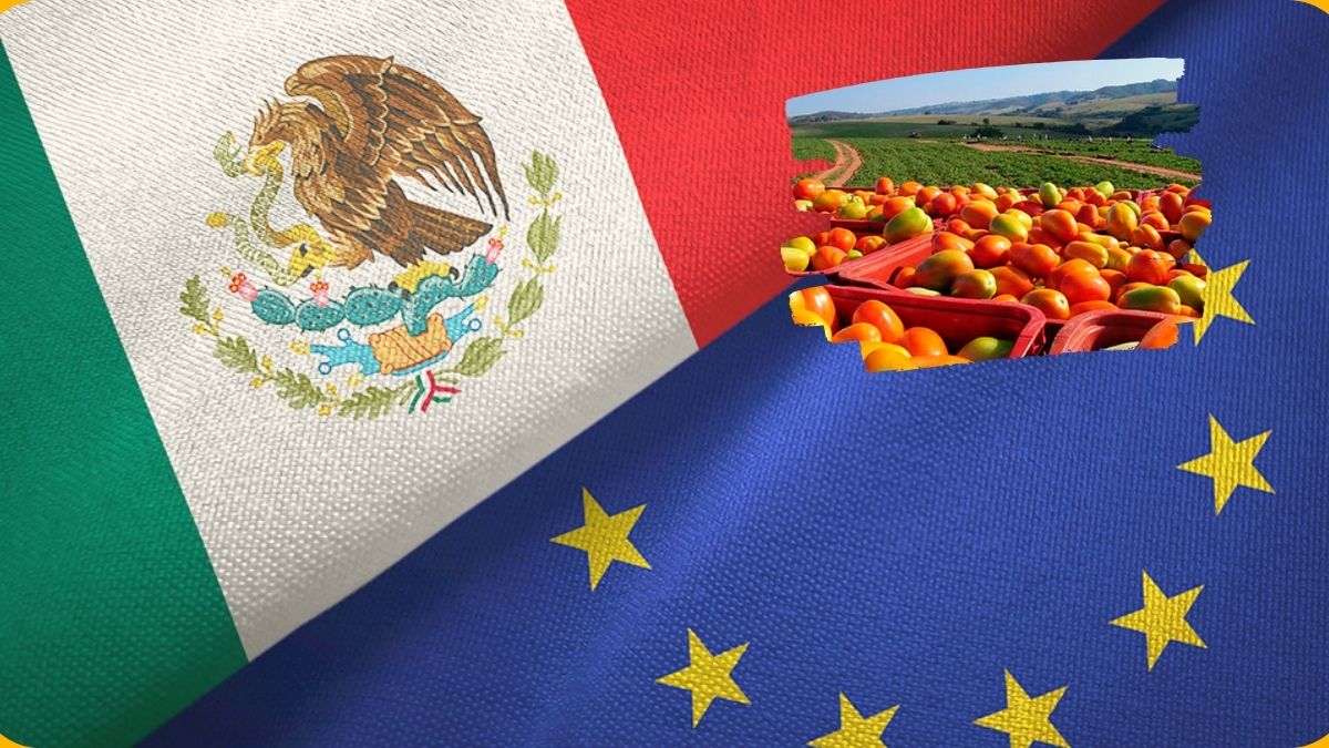 México y la UE pactan eliminar aranceles en sector agroalimentario