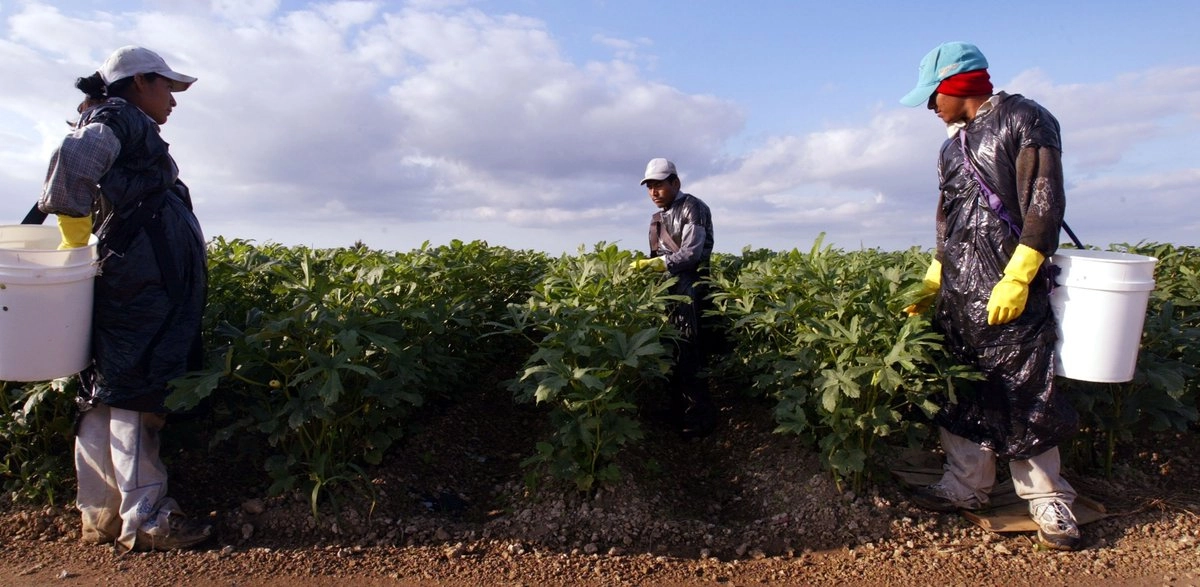 Migrantes mexicanos en EE. UU. ya son la octava economía más grande del mundo