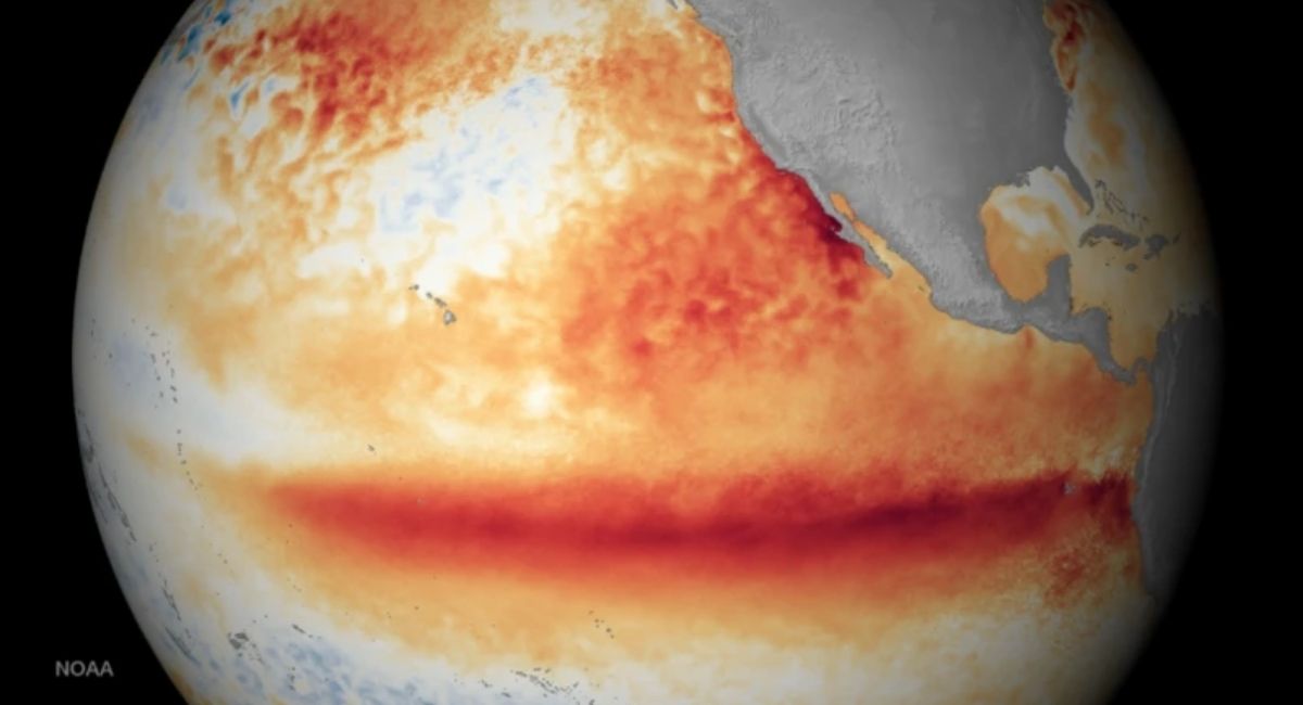 Océanos alcanzan temperatura récord y alertan por efectos climáticos