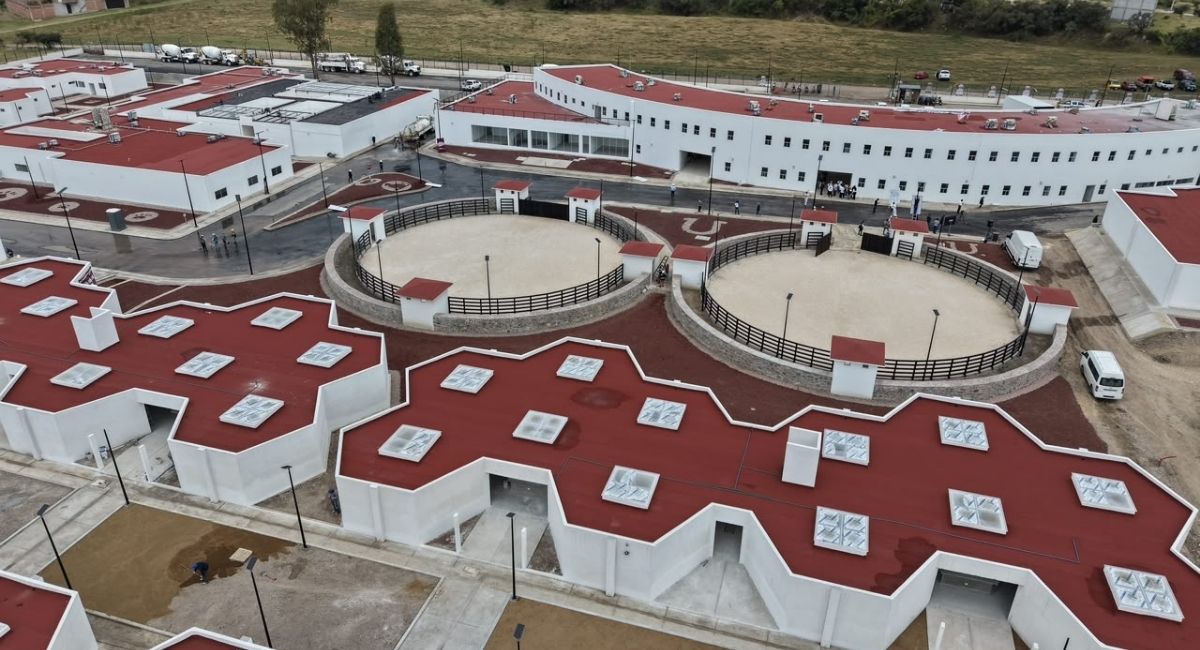 Célula de Bienestar Animal de Puebla alcanza 88% de avance